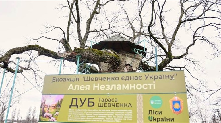 На Черкащині заклали Алею Незламності