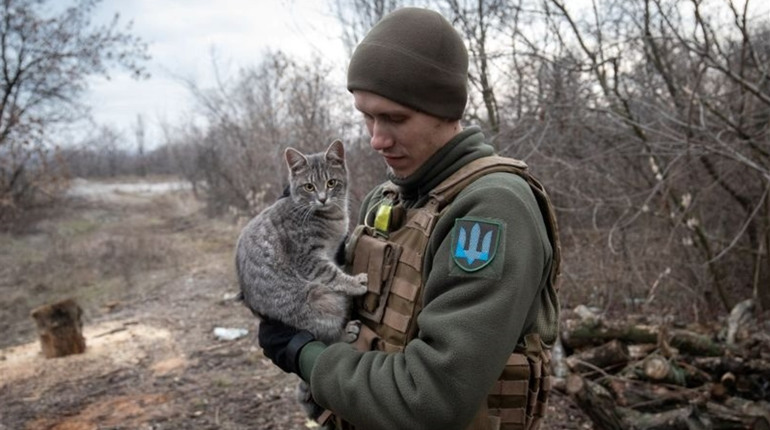 Фото з війни. Ми зібрали світлини з Донбасу, зроблені фотожурналістами з 2014 року
