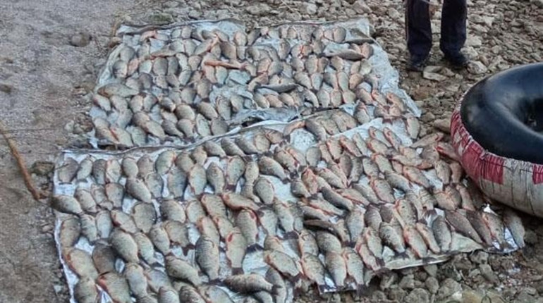 Чоловік у Каховському водосховищі незаконно наловив 300 карасів. Каже, що не знав про заборону