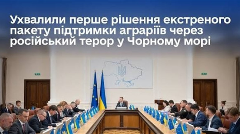 Екстрена допомога фермерам: Кабмін ухвалив пакет рішень через кризу з експортом зерна