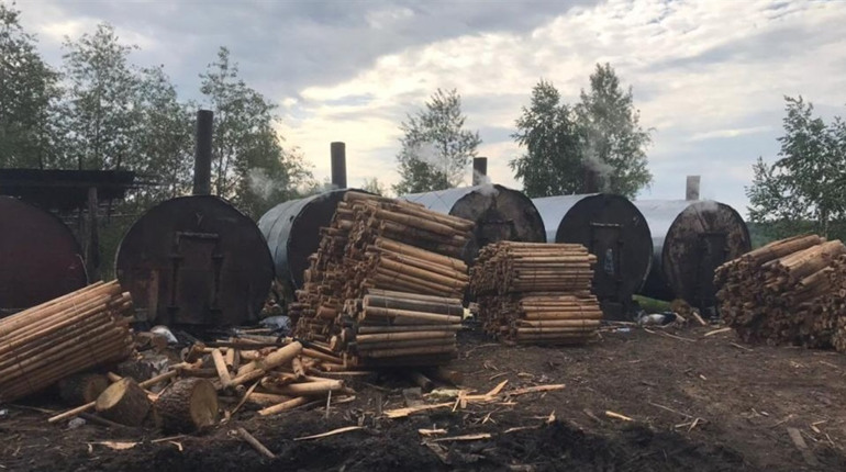 На Зарічненщині за забруднення повітря при випалюванні деревного вугілля оштрафували підприємця