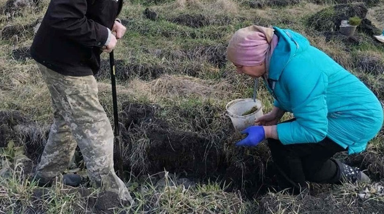Підсумки сезону: Студениківська громада висадила понад 17 гектарів лісу, створила й нову лісосмугу