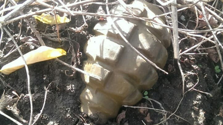 У Сватовому на виїзді з міста у бік Старобільська на узбіччі дороги знайшли бойову гранату