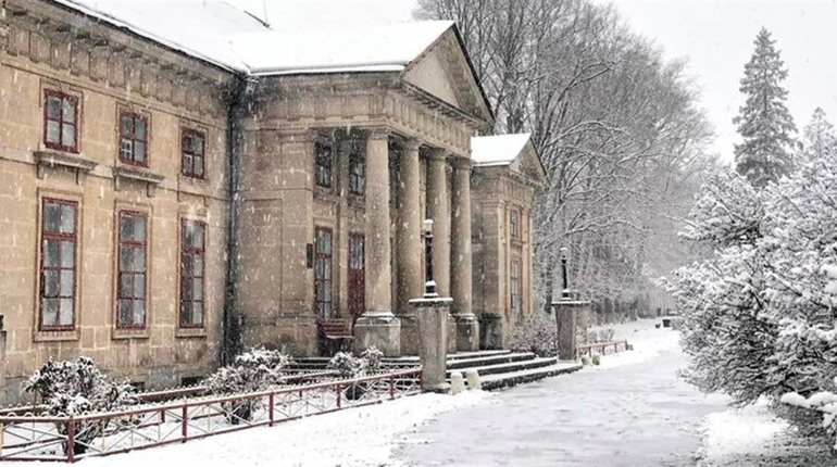 Городоччан кличуть підкорити лід і сніг: у Маліївцях влаштують видовищний конкурс скульптур