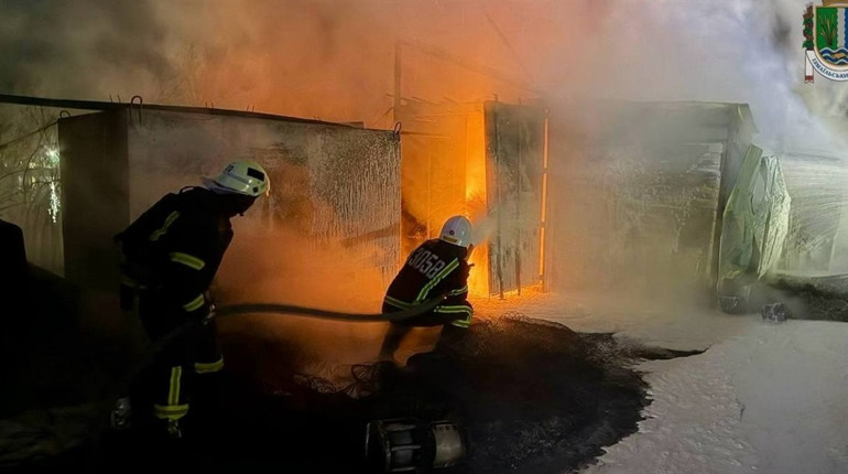 Через атаку шахедів на Ізмаїльський район постраждав Дунайський біосферний заповідник