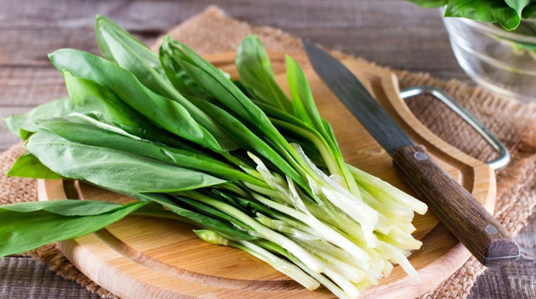 Що приготувати з черемші: добірка смачних рецептів