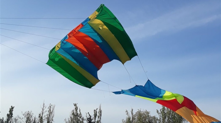 Кайтфлаєри з Миколаєва організовують онлайн-трансляцію польотів повітряних зміїв у Трихатах