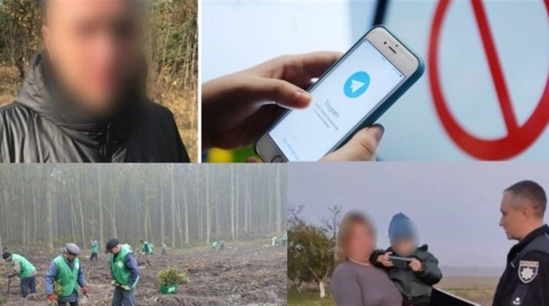 У сусідів: пошуки дитини, ліс пам'яті, крадіжка телевізора у готелі та кому заборонили Telegram,