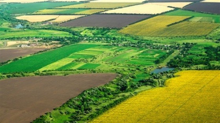 Як жителям Городоччини отримати землю. Покрокова інструкція