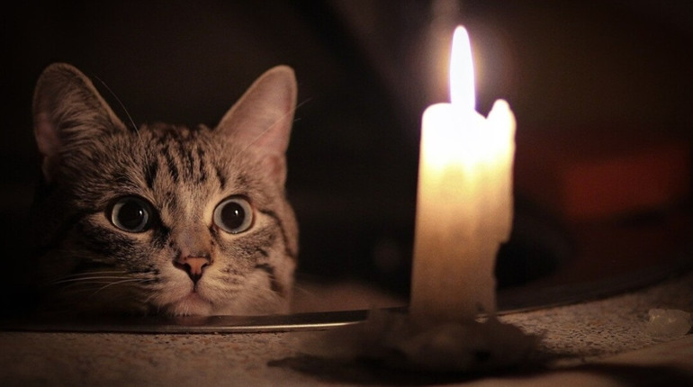 Графік відключень електроенергії у Нетішині на 2 грудня