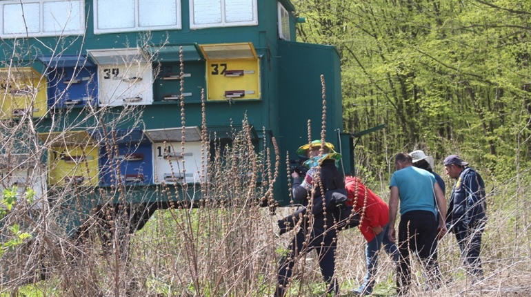 До 8 квітня пасічники Городоцької громади можуть безкоштовно здати аналізи бджіл