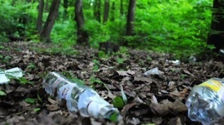 На Гадяччині штрафуватимуть людей, які засмічують ліси