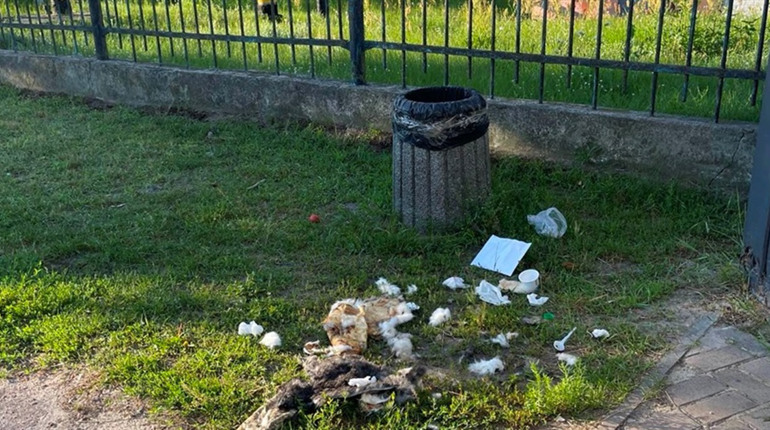Хто так привітав місто Корюківка з днем народження, залишивши смердючі рештки кролика на вулиці