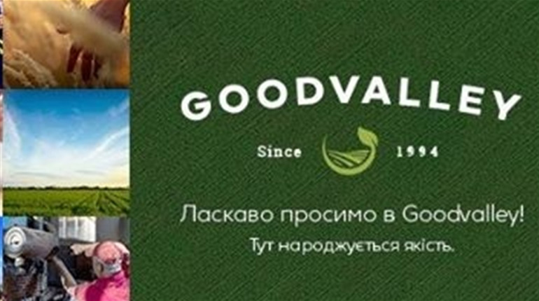 Як працювати у нових умовах? Досвід Goodvalley Ukraine
