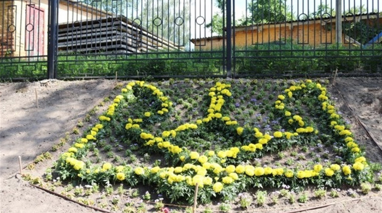 У Ніжині з'явився квітковий тризуб