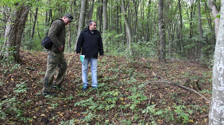 Сліди минулого: що знайшли вчені на Троянових валах 10 років тому