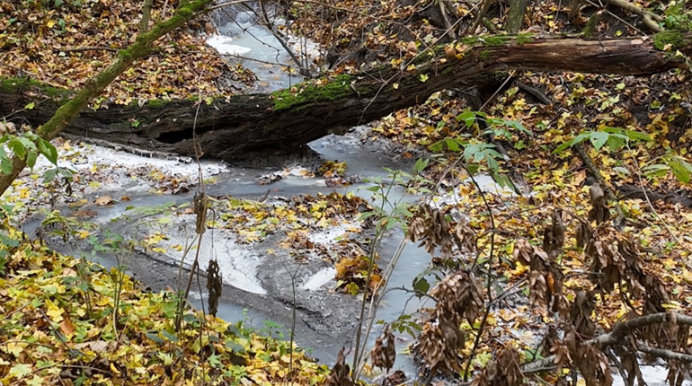 Посадовиця молокозаводу на Хмельниччині відповідатиме за скид неочищених стоків у річку Калюс