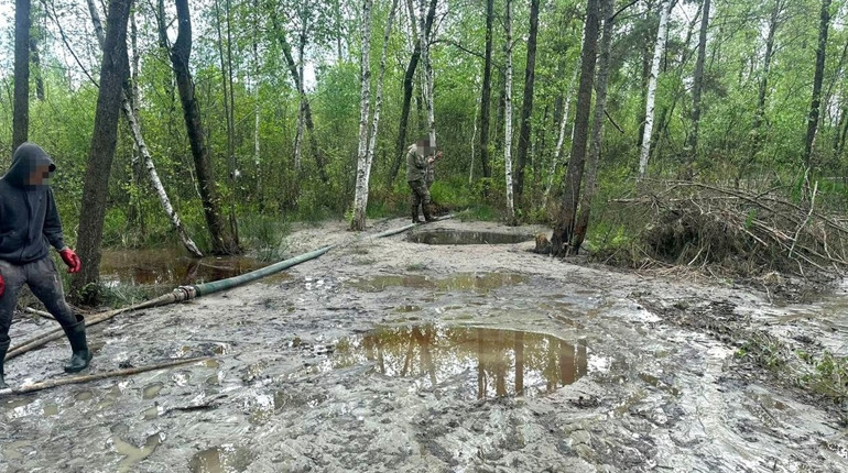 Бурштинові рейди: у трьох селах Сарненського району спіймали старателів