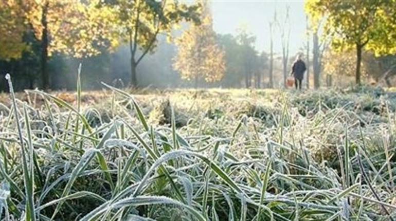 На Луганщину насуваються заморозки. Синоптики попередили місцевих