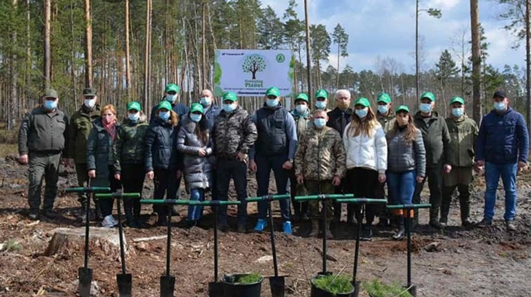 Акція "Озеленення планети": на Новоград-Волинщині висаджують ліс