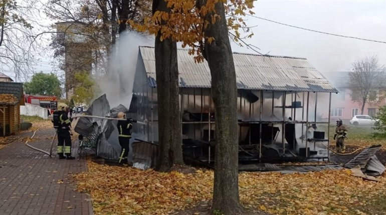 Вогонь у міському парку: що відомо про пожежу в Сарнах
