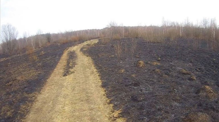 На Володимиреччині затримали палія сухої трави