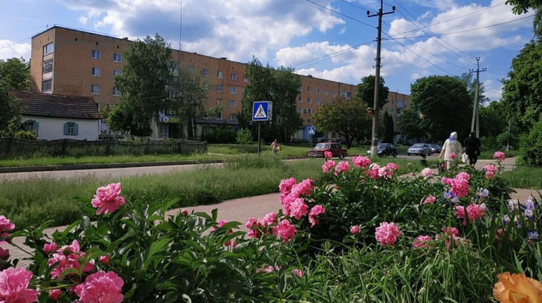 До +26°C: якою буде погода у Гадячі протягом тижня