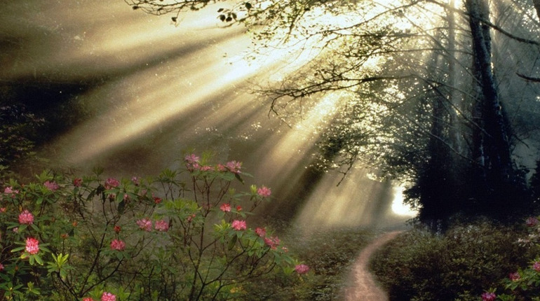 "А отака церковця стояла у Звягелі над Случем": дитинство Лесі Українки у спогадах сестри