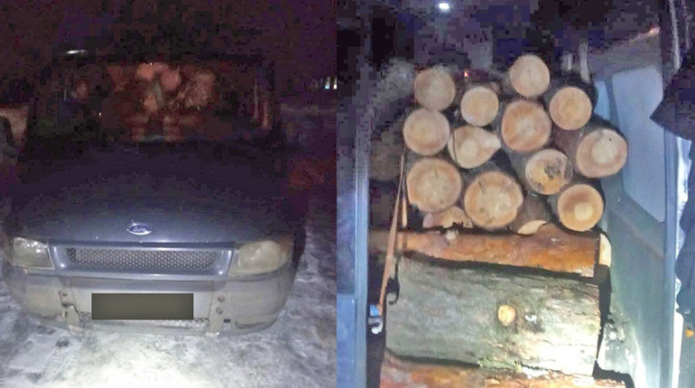 У селі Біле поліцейські затримали бус із нелегальним лісом