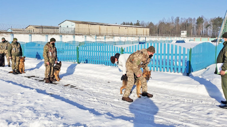 Службових собак у Полицькій колонії обстежили лікарі