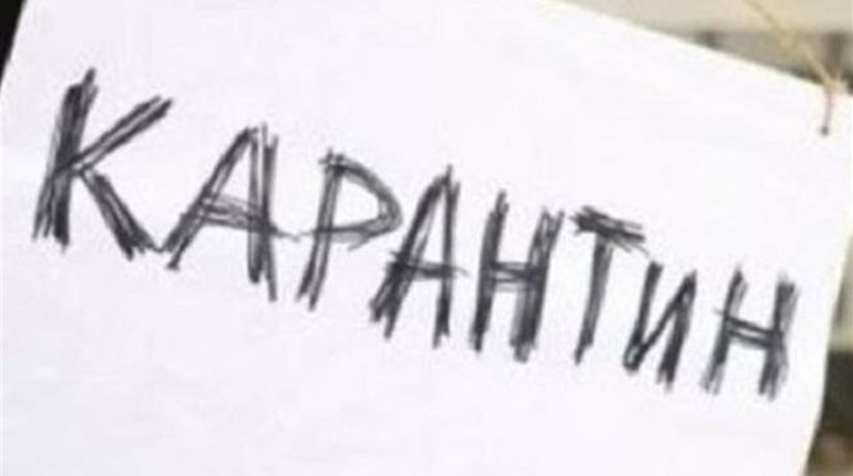 Чи піде на карантин Новоград