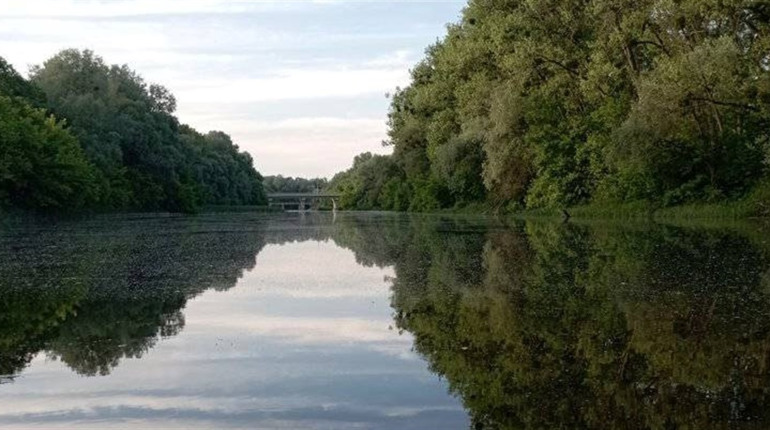 Забруднення та стихійні сміттєзвалища: основні проблеми річок Полтавщини