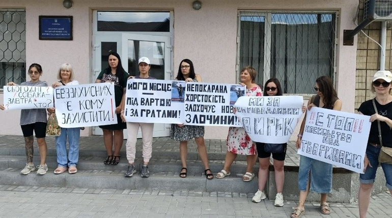 У Знам’янці продовжили розгляд резонансної справи про жорстоке поводження з твариною: що вирішив суд