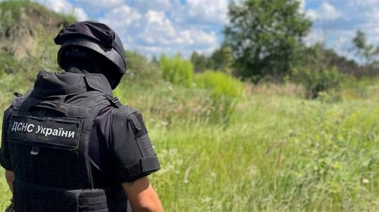 На Звягельщині на приватній присадибній ділянці знайшли три артилерійських снаряди та мінометну міну