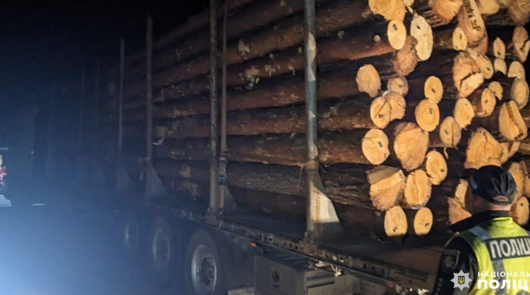 У жителя Сарненського району вилучили майже 40 кубометрів деревини