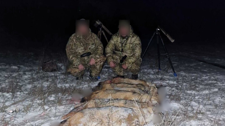 Біля Овідіополя мисливці незаконно застрелили 14 хижаків: відкрили кримінальну справу