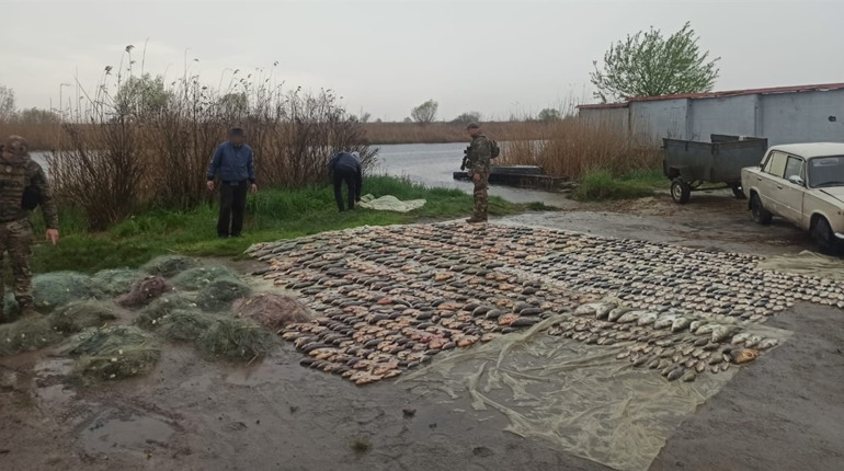 На Херсонщині затримали браконьєрів, які незаконно виловили 500 кг риби