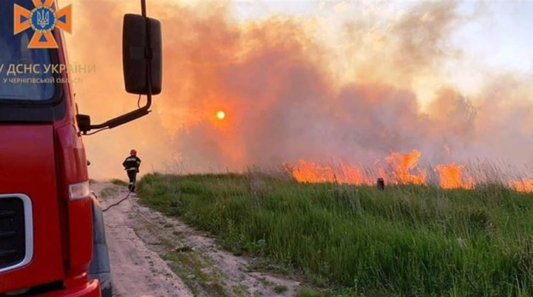 На Чернігівщині під час пожежі сухої трави загинула людина