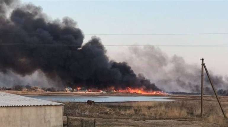 На Херсонщині горять ліси та плавні: екологи б'ють на сполох, а в Сальдо все іде за планом