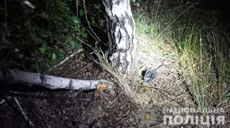 В аварії на Сарненщині травмувався водій і пасажир
