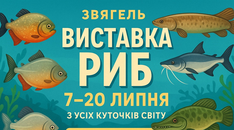 Вперше у Звягелі: пориньте у дивовижний підводний світ
