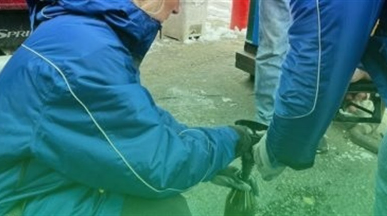 Держекоінспекція відновлює планові перевірки нехарчової продукції