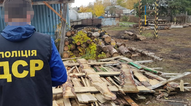У Сватівському лісництві обшуки. Розслідують причетність посадовців до незаконного продажу деревини