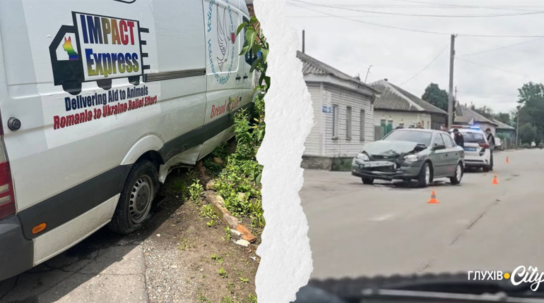 У Глухові сталася потрійна ДТП: одне з авто — сумських волонтерів, які рятують тварин із прикордоння