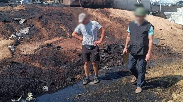 Росія вдарила ракетами по фермерському підприємству у Болградському районі: є руйнування і поранені