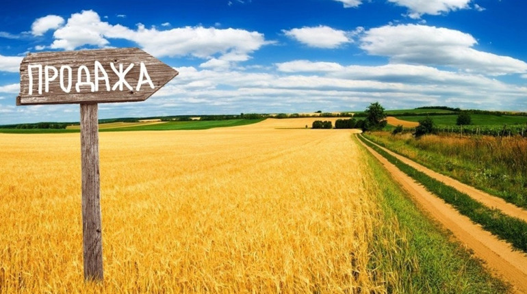 Купля-продажа земельного пая: Что нужно знать?