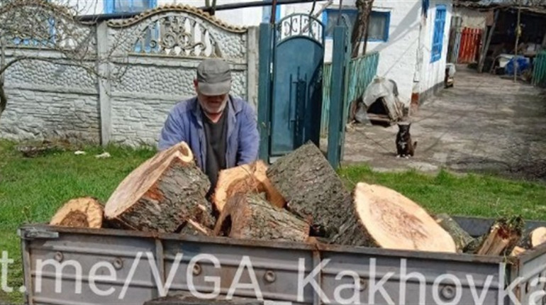 Окупанти випилюють лісонасадження у Каховському районі