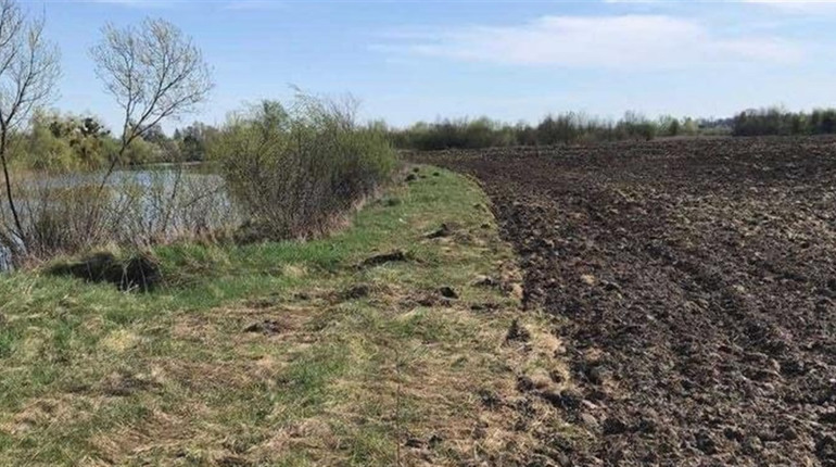 У Сарненському районі оштрафували землероба, який зайняв територію біля річки