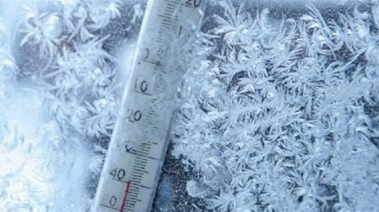 На Житомирщині від переохолодження померла жінка – її знайшли на подвір'ї