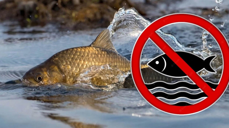 На Сумщині з 1 квітня діятиме весняно-літня заборона на рибальство: що варто знати?